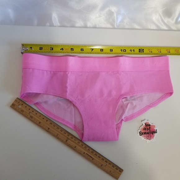 PINK Victoria's Secret Logo Hipster Panties Large New - Picture 16 of 16